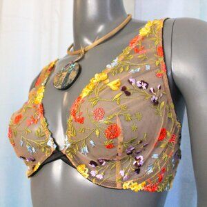 Victoria's Secret Dream Angels Cage Lace Floral Embroidered Bra 34D NWT